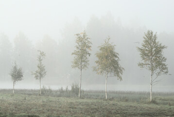 The morning mist rises over a tree-lined field.