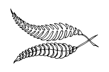 Wheat grain ear, nature bread, one single continuous art line drawing. Linear sketch of wheat, rice, corn, oat ear and grain. Outline Spica plant for agriculture, cereal products, bakery. Vector
