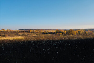 the river in the autumn