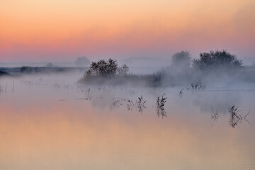 mist over the river