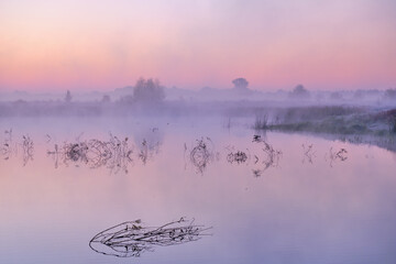 Naklejka premium fog on the river