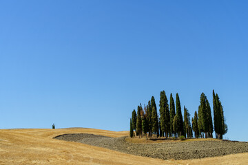 Italy 2022 - Toscania © Daniel
