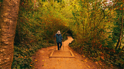 Obraz premium Senior enjoying a walk on nicely-shaded Shoreline Trail, Port Moody, BC, at the cusp of autumn.