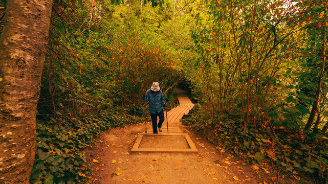 Senior enjoying a walk on nicely-shaded Shoreline Trail, Port Moody, BC, at the cusp of autumn.
