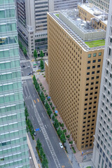 Among Tokyo Skyscrapers - 538652179