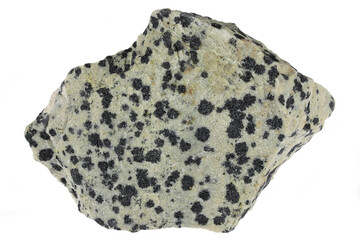 dalmatian jasper from Brazil isolated on white background