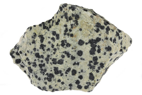 dalmatian jasper from Brazil isolated on white background