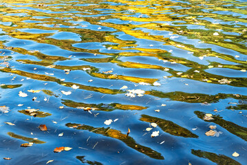 Waves on a river or lake in autumn. Lake with autumn foliage on the surface. Water