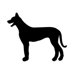 Great Dane. Black silhouette of a dog on a white background. Vector illustration