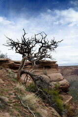 Colorado National Monument