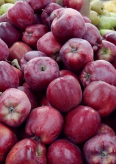 multicolor various tasty apples close up