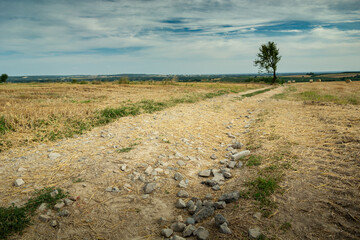 Fototapeta na wymiar Stones on a dirt road through the fields