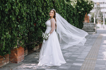 A beautiful bride in a white dress with a long veil stands outdoors in a park near a wall, a fence with green ivy leaves. Wedding photography, portrait.