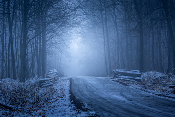 Winter view of the dark and misty forest