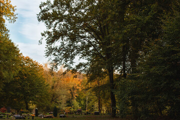Fototapeta premium Waldfriedhof im Herbst.