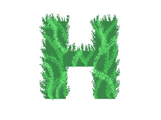 Green letter  H  - Foliage style © neurostructure