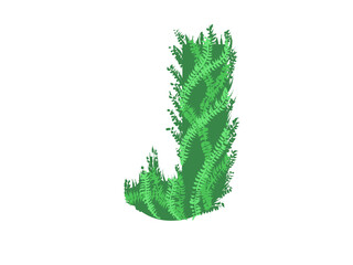 Green letter  J  - Foliage style © neurostructure