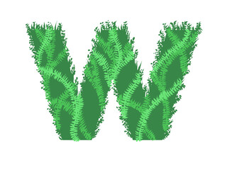 Green letter  W  - Foliage style