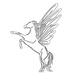  pegasus sketch ,outline icon isolated vector