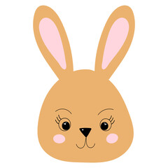 portrait rabbit cartoon on white background, isolated