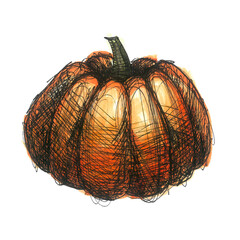 Pumpkin sketch marker illustration. Hand drawn pumpkin isolated on white background. Fast sketching with alcohol markers and black liner. Element for halloween design