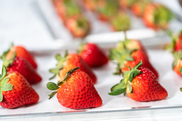 Chocolate dipped strawberries