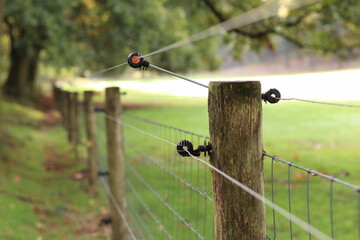 Electric fence next to a meadow