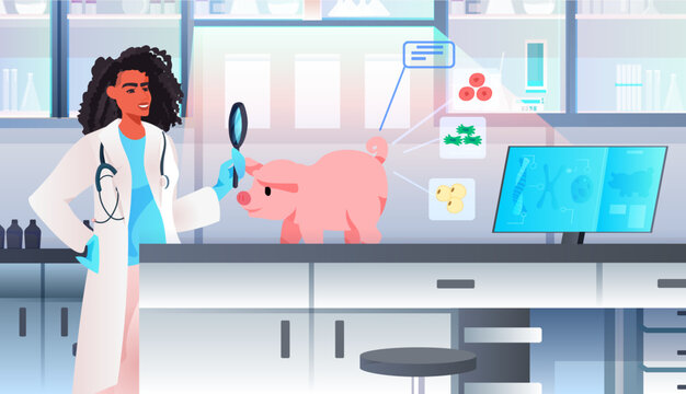 scientist looking on pig through magnifying glass cultured red raw veal made from animal cells artificial lab grown meat production concept modern lab interior horizontal vector illustration