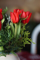 Multiple red tulips in a closeup. Tulip bouquet indoors. Flower that can symbolize love, Christmas, Easter or even Netherlands. Bright colorful spring season flowers blooming. Color image.