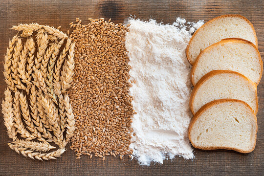 Bread, grains, flour and spikelets. Bread at different stages of production.