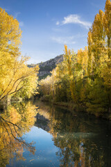 Fototapeta premium The Jucar river in autumn in Cuenca, Castilla La Mancha in Spain. Autumn landscape with trees full of yellow leaves