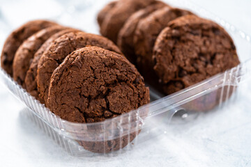 Double chocolate chip cookies