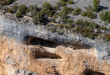 a Spanish Griffon vulture (Eurasion griffon, Gyps fulvus) warms up with outspread wings at a cave entrance, rocky mountain gorge, Pyrenees, Spain