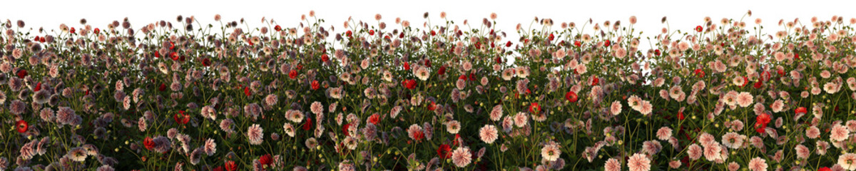 3d rendered of a flower field