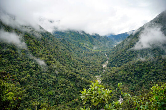 View over a valley of cloud forest in Manu national park, Peru. 
