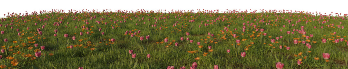 Obraz na płótnie Canvas grass & flowers in isolated background 3d rendered