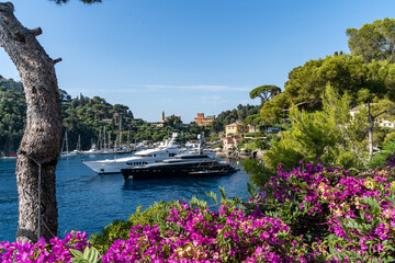 Italy 2022 Portofino © Daniel
