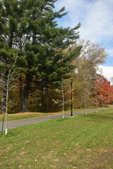 Forêt Drummond 16 Octobre 2022