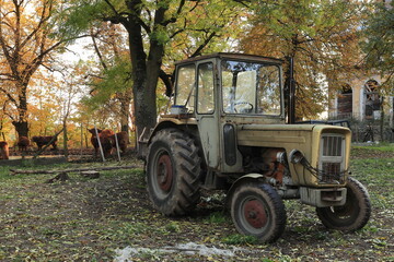 tractor standing on the farm. Scottish cows in the background.
ciągnik stojący w gospodarstwie. Szkockie krowy w tle. - obrazy, fototapety, plakaty