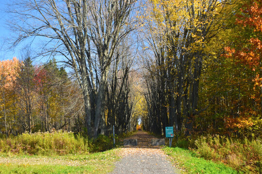 For&ecirc;t Drummond 16 Octobre 2022