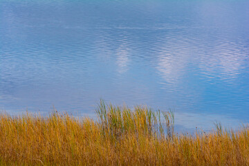 Grasses on the shore of a blue  lake