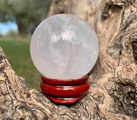 Closeup shot of the Milky quartz ball on a tree