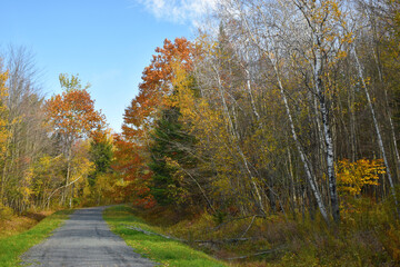 Forêt Drummond 16 Octobre 2022