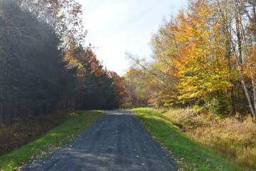 Forêt Drummond 16 Octobre 2022