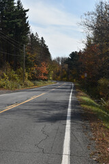 Forêt Drummond 16 Octobre 2022