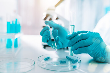 Fototapeta premium Doctor in the laboratory analyzes samples of codiv-9 under a microscope