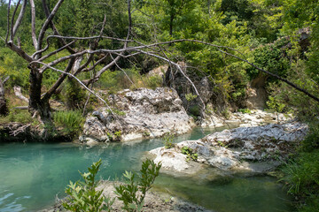 Vestiges d'un pont ottoman caché par la végétation, Albanie