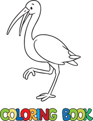 Ibis bird standing on the one leg. Coloring book