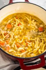 Chicken Noodle Soup