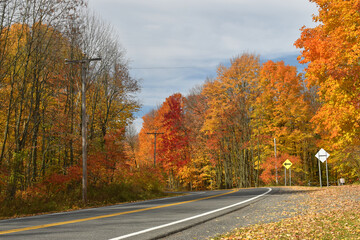 Forêt Drummond 16 Octobre 2022